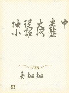 他从火光中走来小说网盘