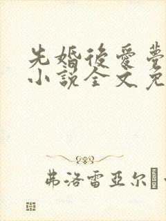 先婚后爱梦筱二小说全文免费阅读