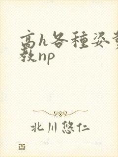 高h各种姿势调教np