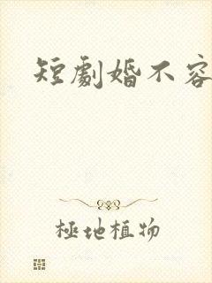 短剧婚不容情