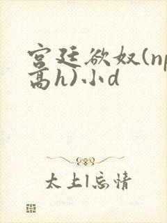 宫廷欲奴(np高h)小d