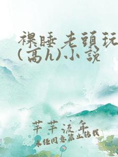 裸睡老头玩奶头(高h)小说