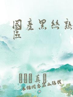 国产黑丝熟女一区