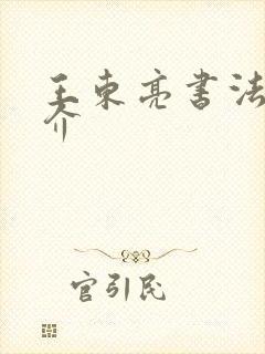 王东亮书法家简介