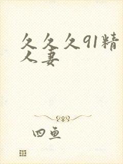 久久久91精品人妻