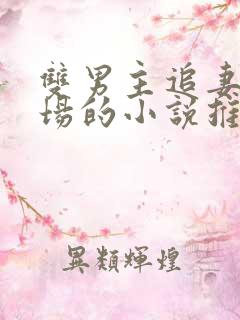 双男主追妻火葬场的小说推荐