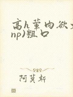 高h荤肉欲文(np)粗口