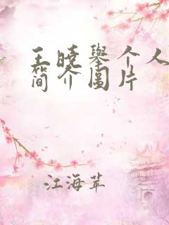 王晓举个人资料简介图片