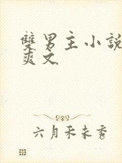 双男主小说推荐爽文