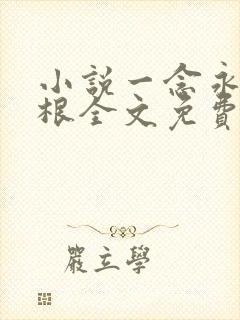 小说一念永恒耳根全文免费阅读