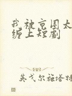 我被京圈太子爷缠上短剧