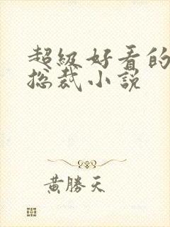 超级好看的霸道总裁小说