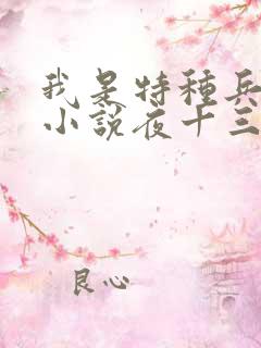 我是特种兵杨洛小说夜十三