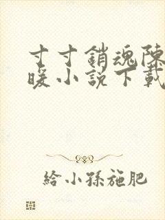 寸寸销魂陈聪王暖小说下载