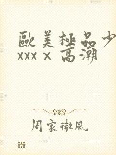 欧美极品少妇xxxxⅹ高潮