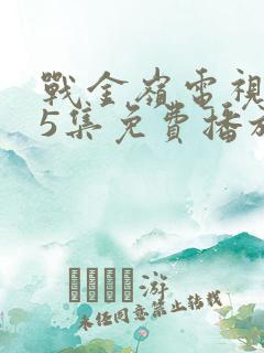 战金岭电视剧45集免费播放