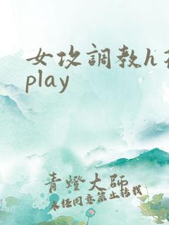 女攻调教h花式play