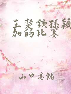 王楚钦孙颖莎参加的比赛