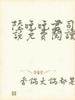 陆晚晚君司冥小说免费阅读全文