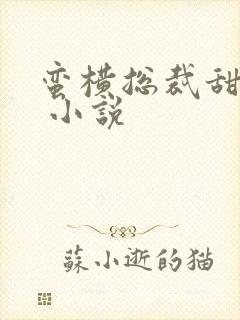 蛮横总裁甜宠妻 小说