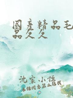 国产精品毛片极品久久