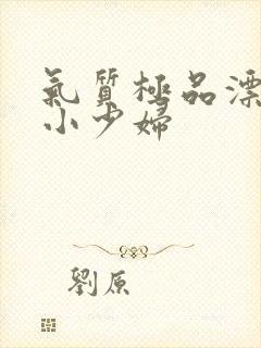 气质极品漂亮的小少妇