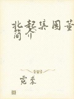 北起集团董事长简介