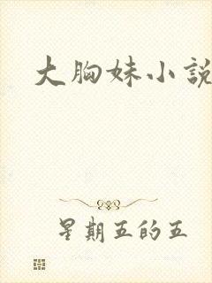 大胸妹小说