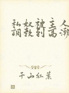 私奴被主人玩弄调教到高潮小说