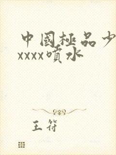 中国极品少妇xxxxx喷水