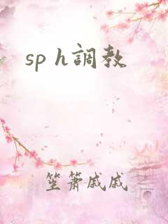 sp h调教