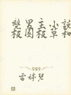 双男主小说推荐校园校草和校霸