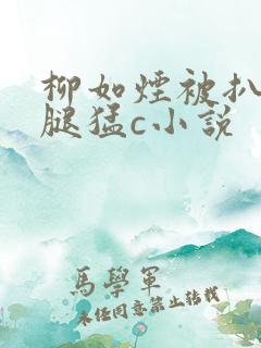 柳如烟被扒开双腿猛c小说