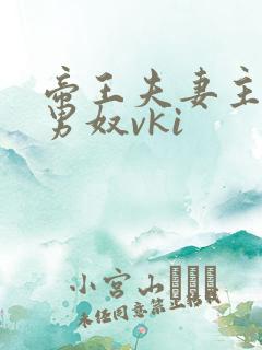帝王夫妻主调教男奴vki