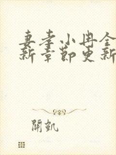 妻孝小冉全文最新章节更新时间