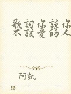 歌词你说你爱了不该爱的人是什么歌