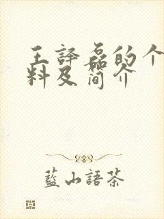 王译磊的个人资料及简介