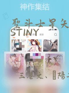 圣斗士星矢DESTINY