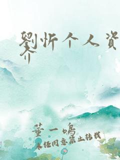 刘忻个人资料简介