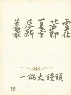 叶辰夏若雪孙怡最新章节在线阅读