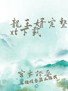 龙王婿完整版txt下载