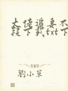 大佬追妻不择手段下载txt下