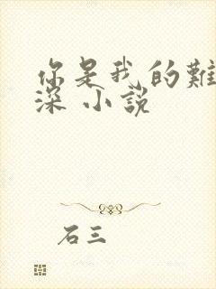 你是我的难得情深 小说