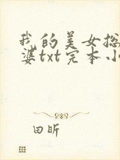 我的美女总裁老婆txt完本小说下载