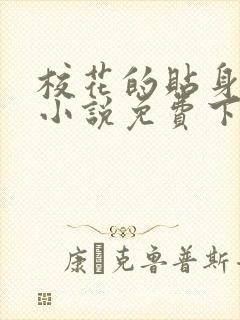 校花的贴身高手小说免费下载