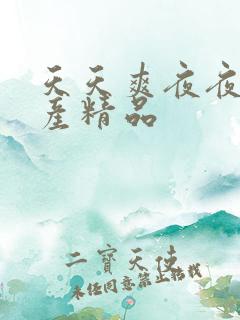 天天爽夜夜操国产精品