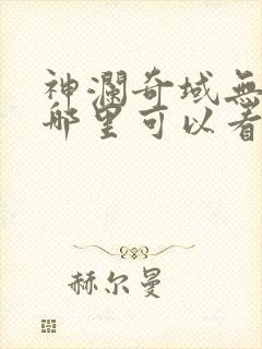 神澜奇域无双珠哪里可以看