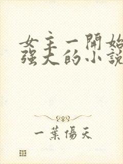 女主一开始就很强大的小说