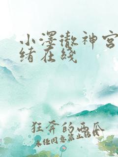 小泽彻神宫寺奈绪在线