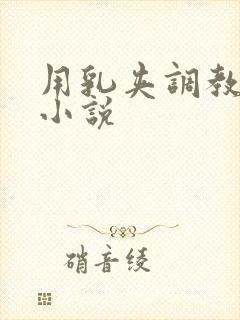 用乳夹调教奶头小说